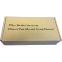 Gigabit Multi-Mode Media Converter Gigabit Multi-Mode Media Converter