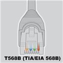 300Ft Cat5e Ethernet Copper Cable Green 300Ft Cat5e Ethernet Copper Cable Green