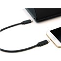 1Ft USB C to C Cable