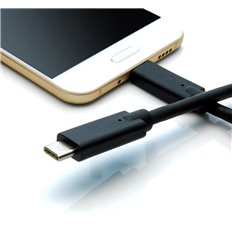 3Ft USB C to C Cable 2