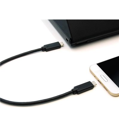 3Ft USB C to C Cable