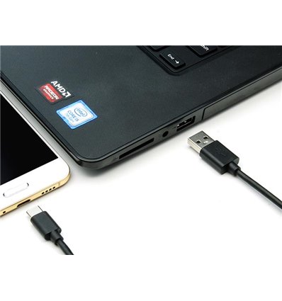 1Ft USB C to USB 2.0 Cable