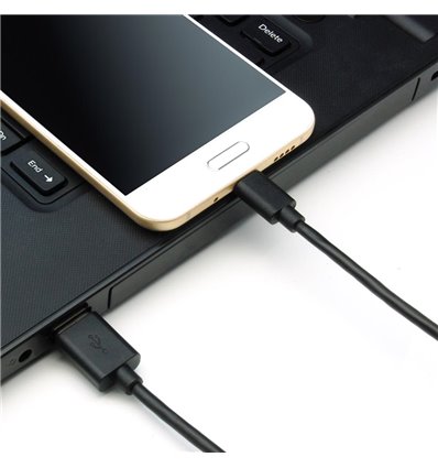 1Ft USB C to USB 2.0 Cable