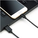 1Ft USB C to USB 2.0 Cable 1Ft USB C to USB 2.0 Cable