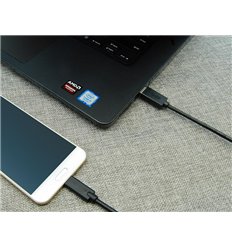 3Ft USB C to USB 3.0 Cable 2