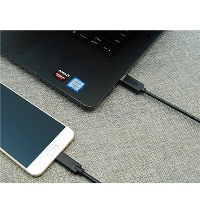 3Ft USB C to USB 3.0 Cable