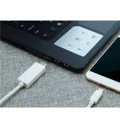 6Ft USB C to HDMI Cable