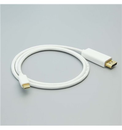 6Ft USB C to Display Port Cable