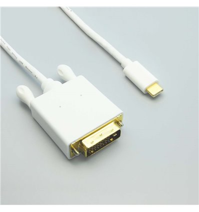 3Ft USB C to DVI Cable