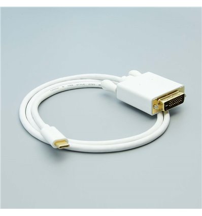 3Ft USB C to DVI Cable