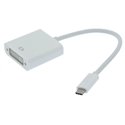 USB C to DVI Female Adapter