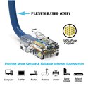 3Ft Cat6 Plenum Ethernet Cable Blue 3Ft Cat6 Plenum Ethernet Cable Blue
