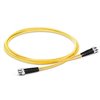 ST-ST Fiber Optic Single Mode Cable Duplex OS2 9/125 OFNR