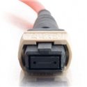 12Fiber MTP / MPO OM1 Multimode Fiber Optic Cable 12Fiber MTP / MPO OM1 Multimode Fiber Optic Cable