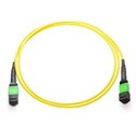 12Fiber MTP / MPO OS2  Multimode Fiber Optic Cable