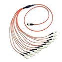 24Fiber MTP / MPO Breakout OM1 Multimode Fiber Optic Cable