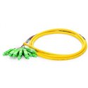 SC APC 12 Fibers OS2 Jacketed Single Mode Fiber Optic Pigtail