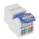Cat5e Tool Less Keystone Jack Cat5e Tool Less Keystone Jack