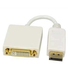 Display Port Male to DVI Female Adapter