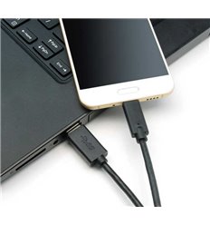 USB C to USB 3.0 Cable 2